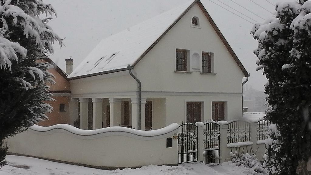 Amadeus Vendeghaz Hotel Esztergom Bagian luar foto